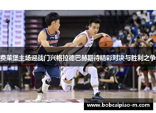 费莱堡主场迎战门兴格拉德巴赫期待精彩对决与胜利之争